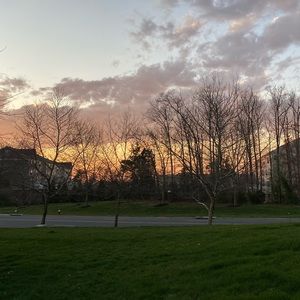 Meet your Posher, Catherine